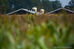 twente-mais