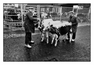 Zwolle Veemarkt 1984-1987