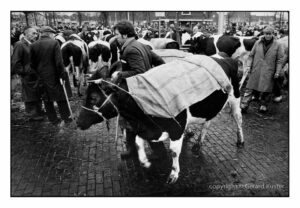 Zwolle Veemarkt 1984-1987