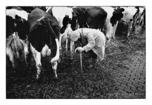 Zwolle Veemarkt 1984-1987