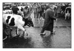 Zwolle Veemarkt 1984-1987