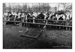 Zwolle Veemarkt 1984-1987