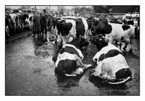 Zwolle Veemarkt 1984-1987