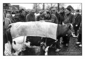 Zwolle Veemarkt 1984-1987