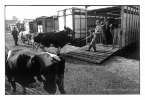 Zwolle Veemarkt 1984-1987