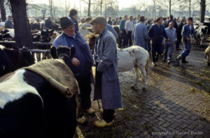 Zwolle veemarkt 1984-1987