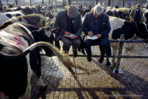 Zwolle veemarkt 1984-1987