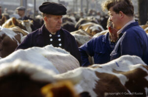 Zwolle veemarkt 1984-1987