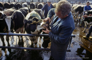 Zwolle veemarkt 1984-1987