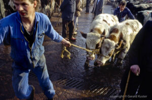 Zwolle veemarkt 1984-1987