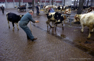 Zwolle veemarkt 1984-1987