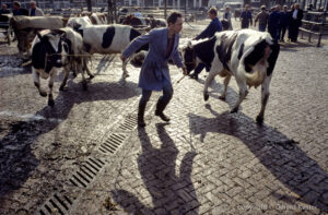 Zwolle veemarkt 1984-1987