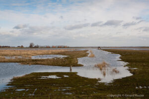 tiengemeten