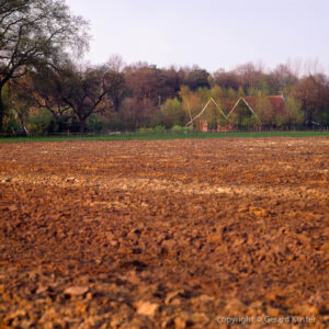 twente