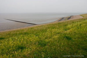 waddenkust