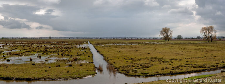 Tiengemeten